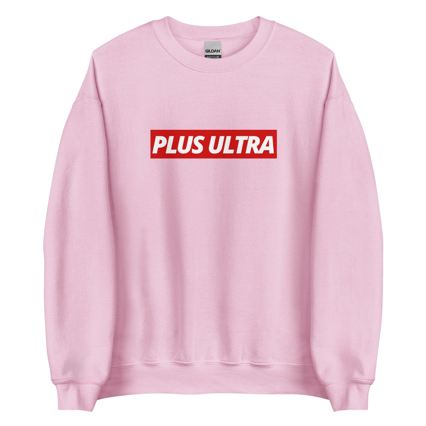 PLUS ULTRA - Sweatshirt - Project NuMa - 