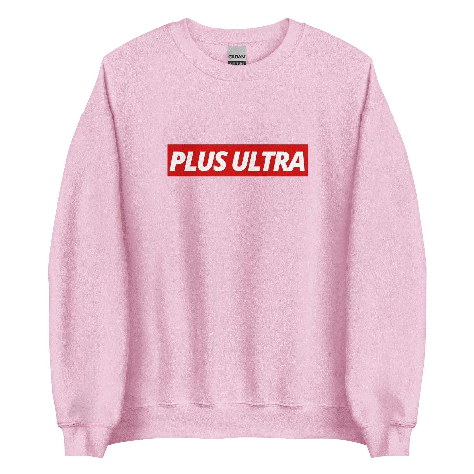 PLUS ULTRA - Sweatshirt - Project NuMa - 