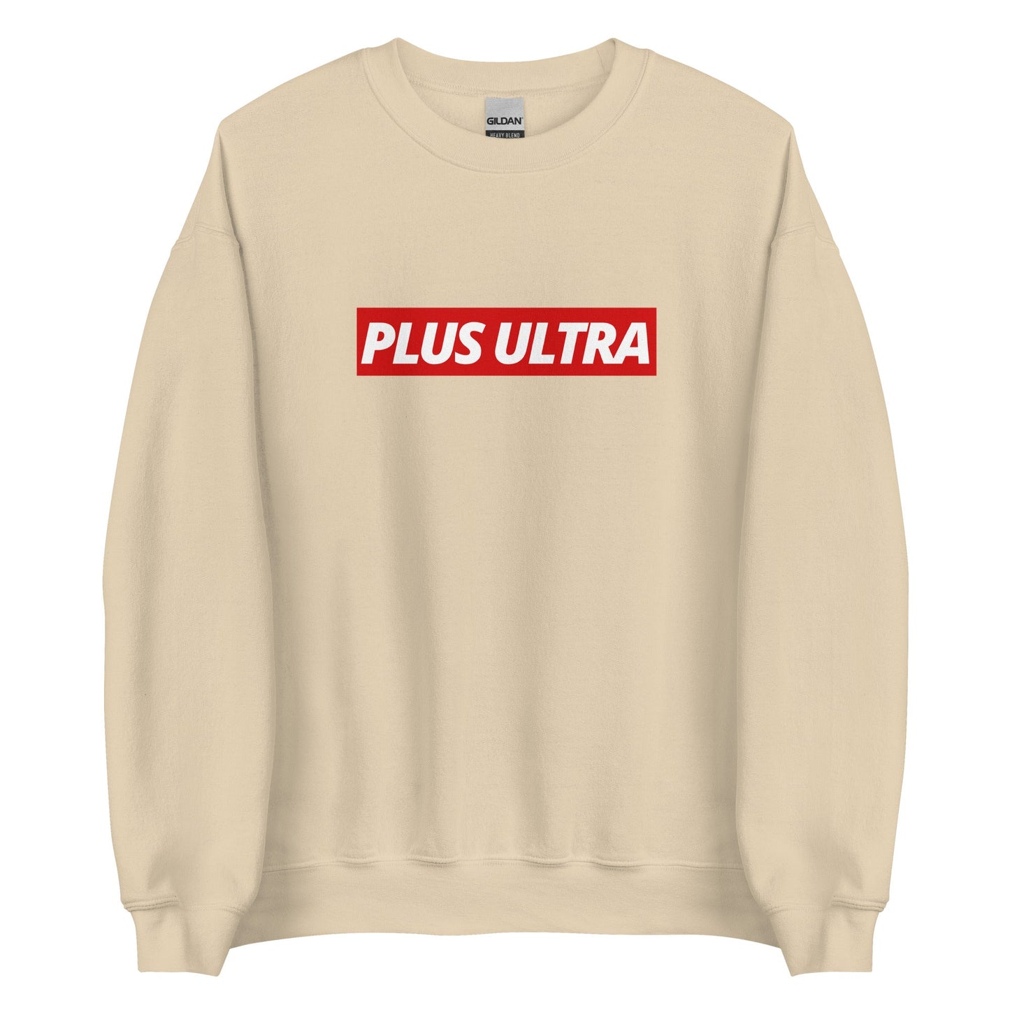 PLUS ULTRA - Sweatshirt - Project NuMa - 