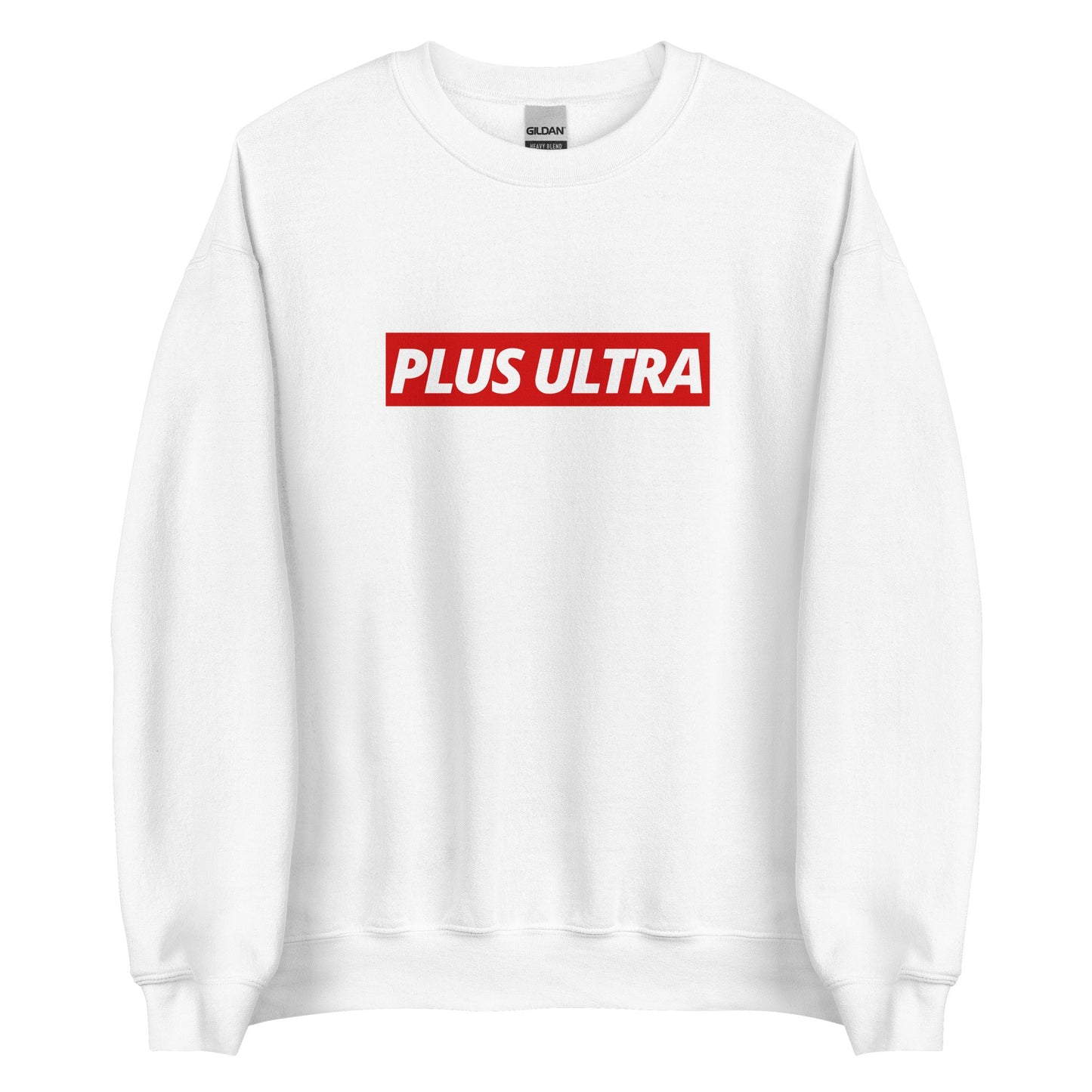 PLUS ULTRA - Sweatshirt - Project NuMa - 