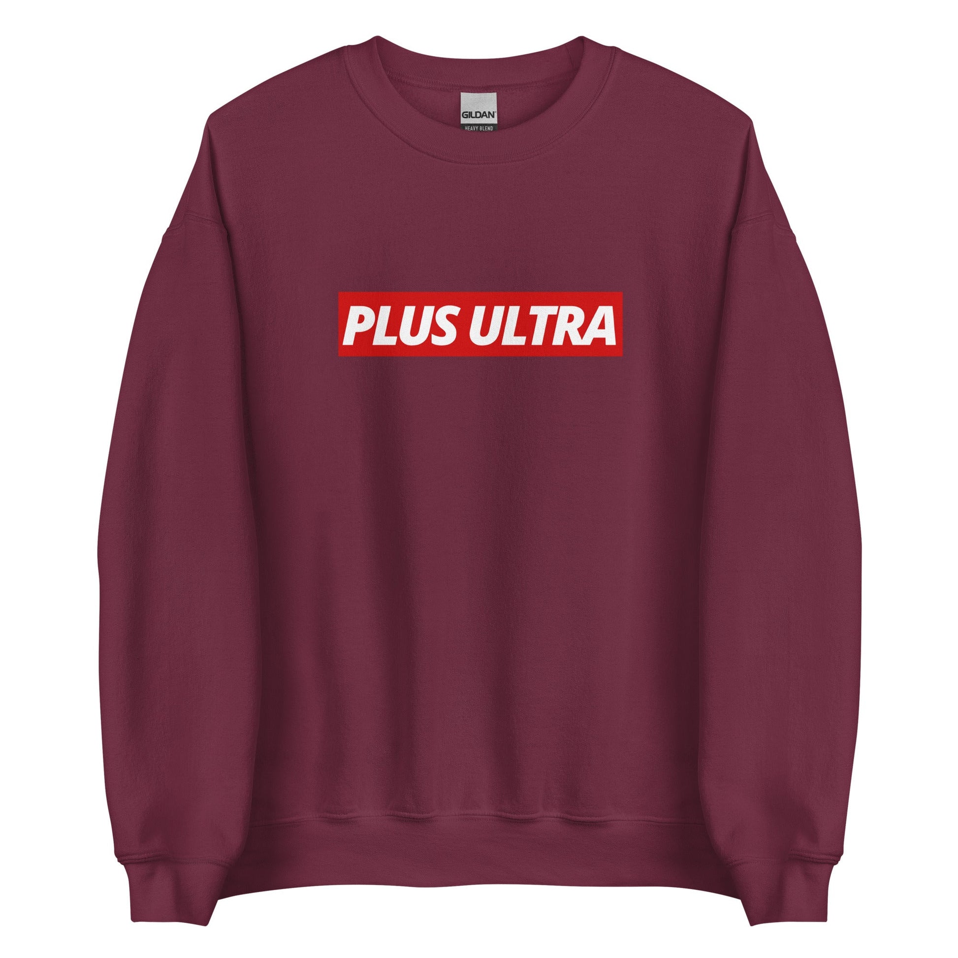 PLUS ULTRA - Sweatshirt - Project NuMa - 