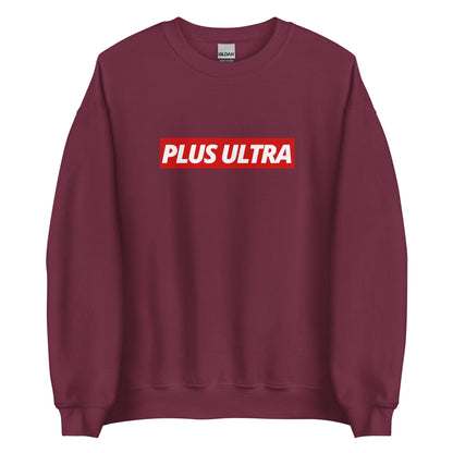 PLUS ULTRA - Sweatshirt - Project NuMa - 
