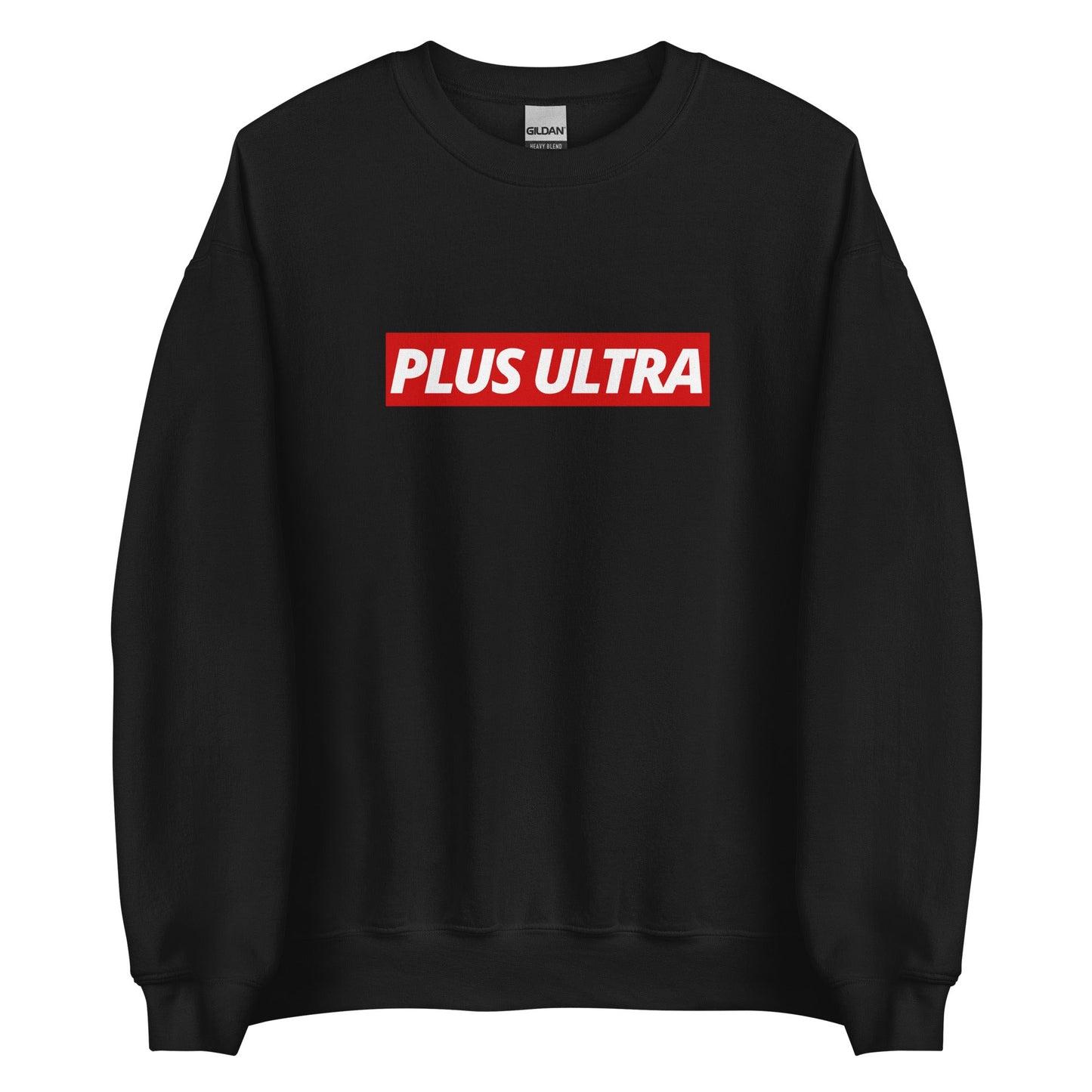 PLUS ULTRA - Sweatshirt - Project NuMa - 