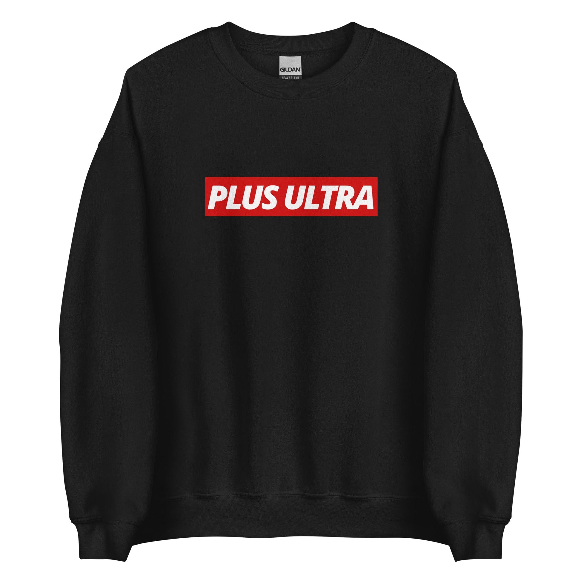 PLUS ULTRA - Sweatshirt - Project NuMa - 