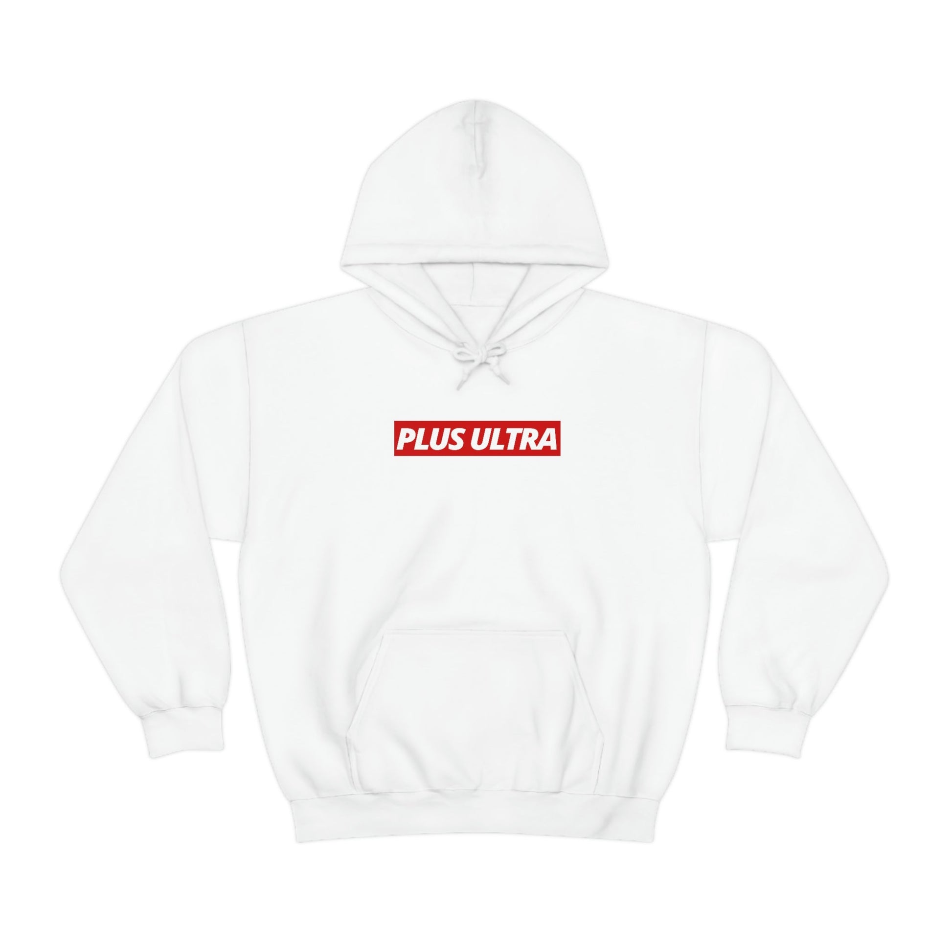 PLUS ULTRA Hoodie - SWIFT - Project NuMa - Hoodie