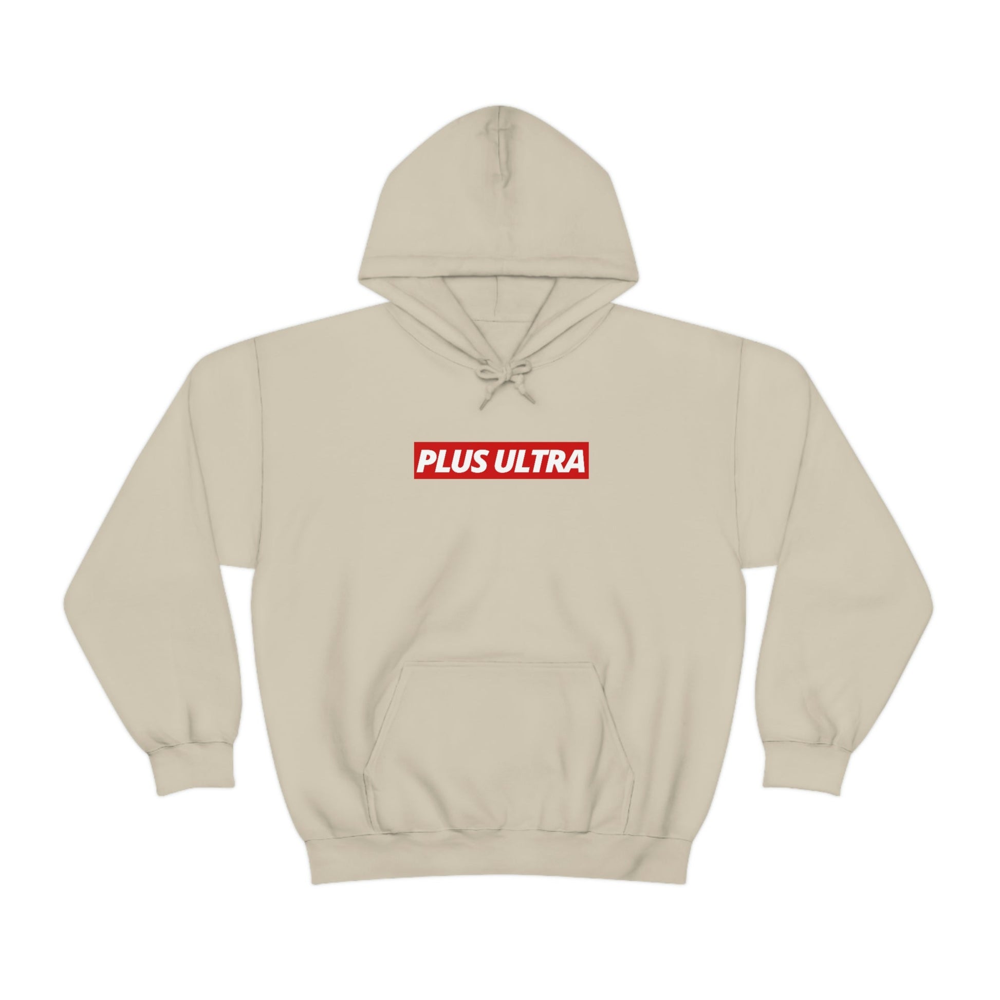 PLUS ULTRA Hoodie - SWIFT - Project NuMa - Hoodie